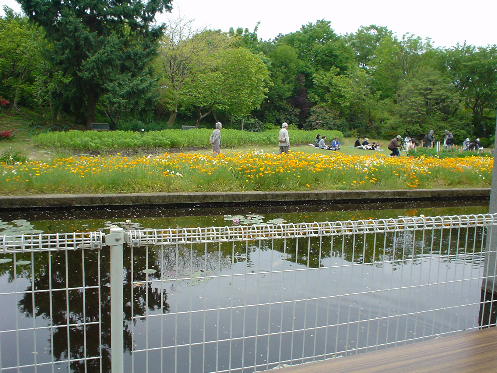 お散歩風景