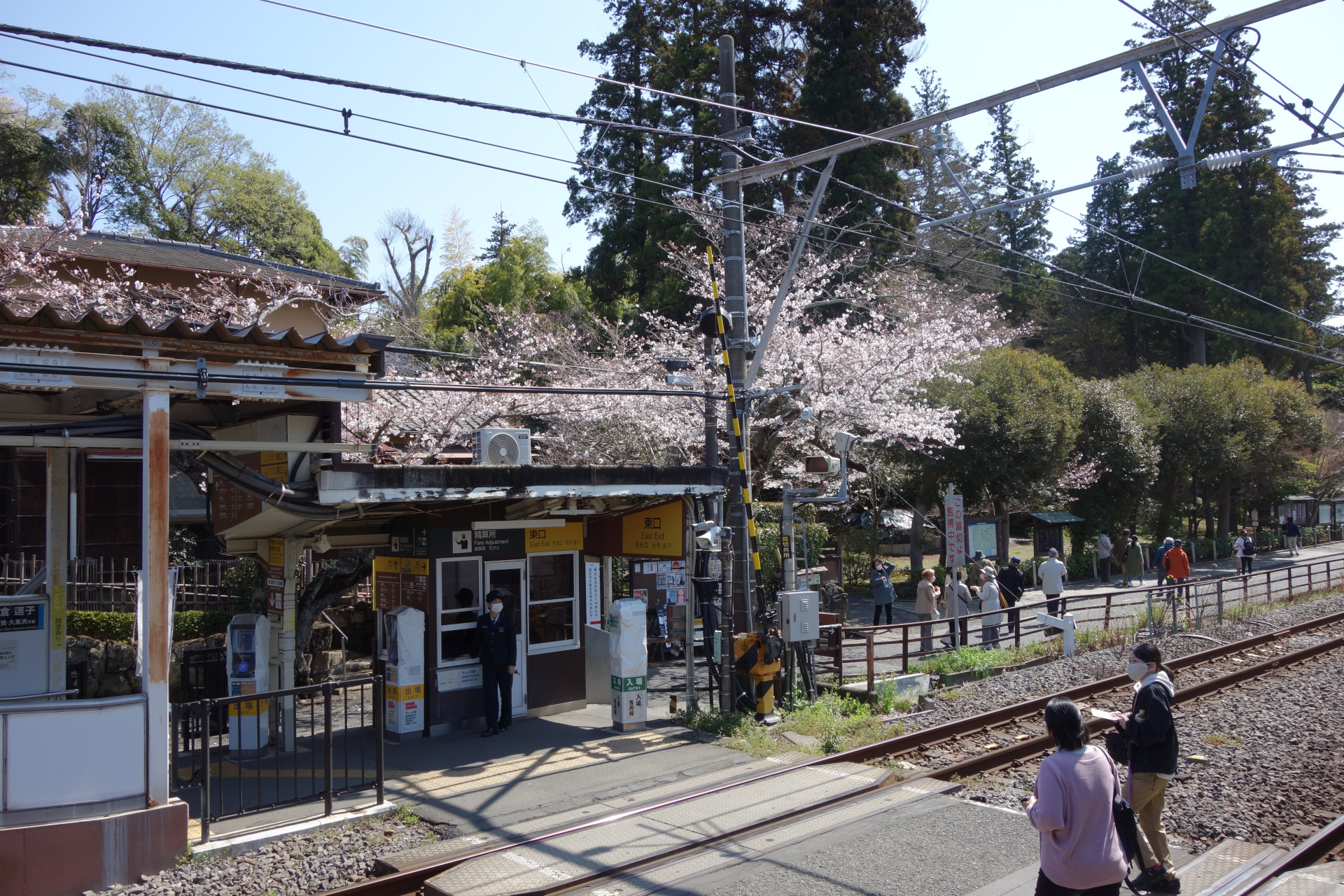 桜_北鎌倉で撮りました。